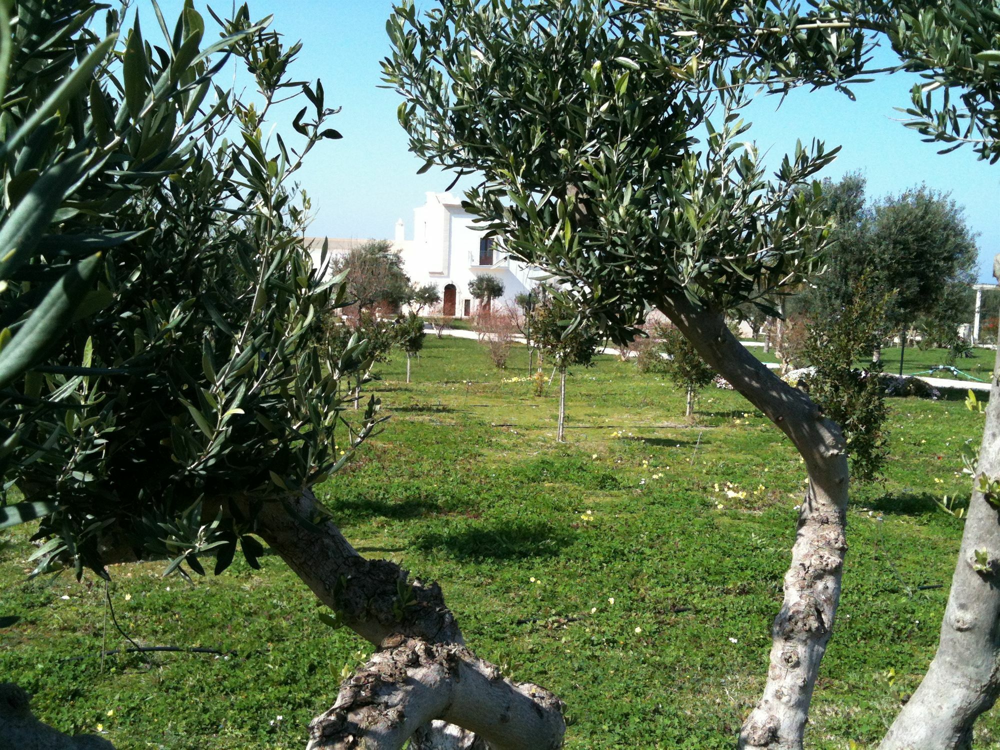 Casale Del Murgese Country Resort Savelletri Luaran gambar